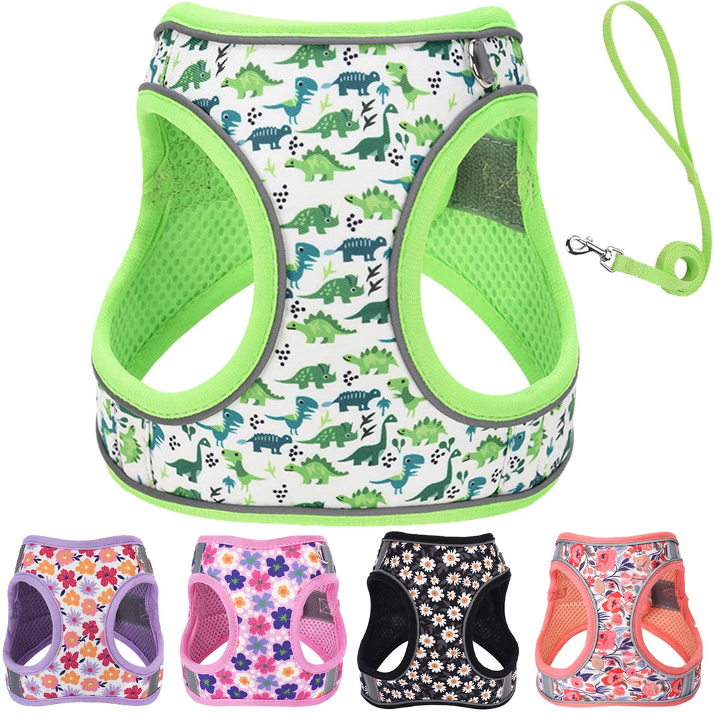 QAORD harnais XXS pour chien avec enfiler facilement, parfait pour sorties rapides.