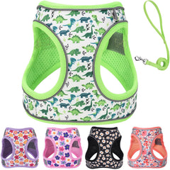 QAORD harnais XXS pour chien avec enfiler facilement, parfait pour sorties rapides.