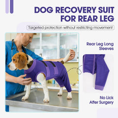 QBLEEV tissu doux et respirant: confort quotidien pour chien.