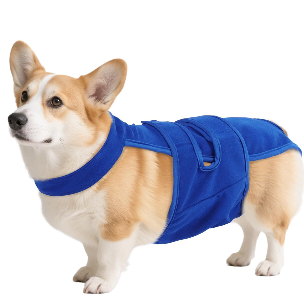 QBLEEV couches-chien suspendeurs ajustables pour un maintien fiable.