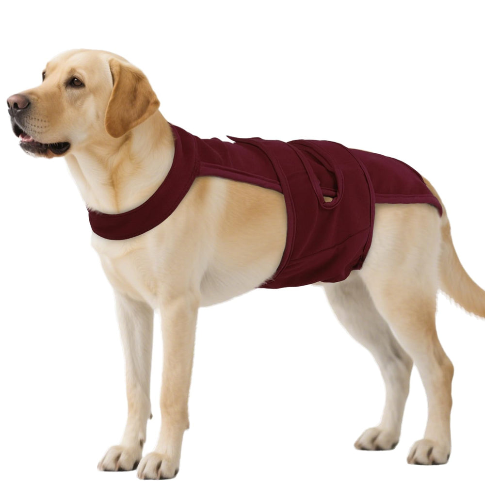 QBLEEV couches-chienne femelle ajustables pour un maintien personnalisé et confortable.