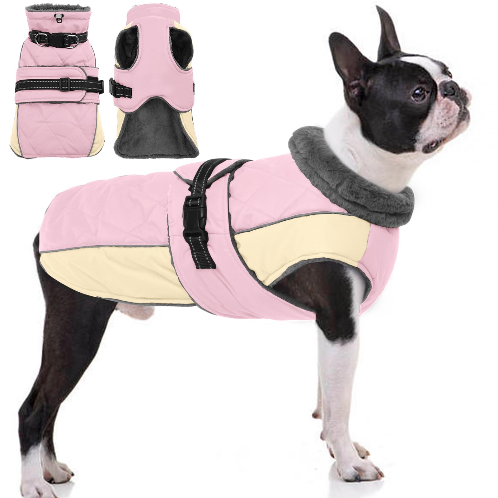 Manteau QBLEEV pour chien avec isolation imperméable, idéal pour promenades pluvieuses