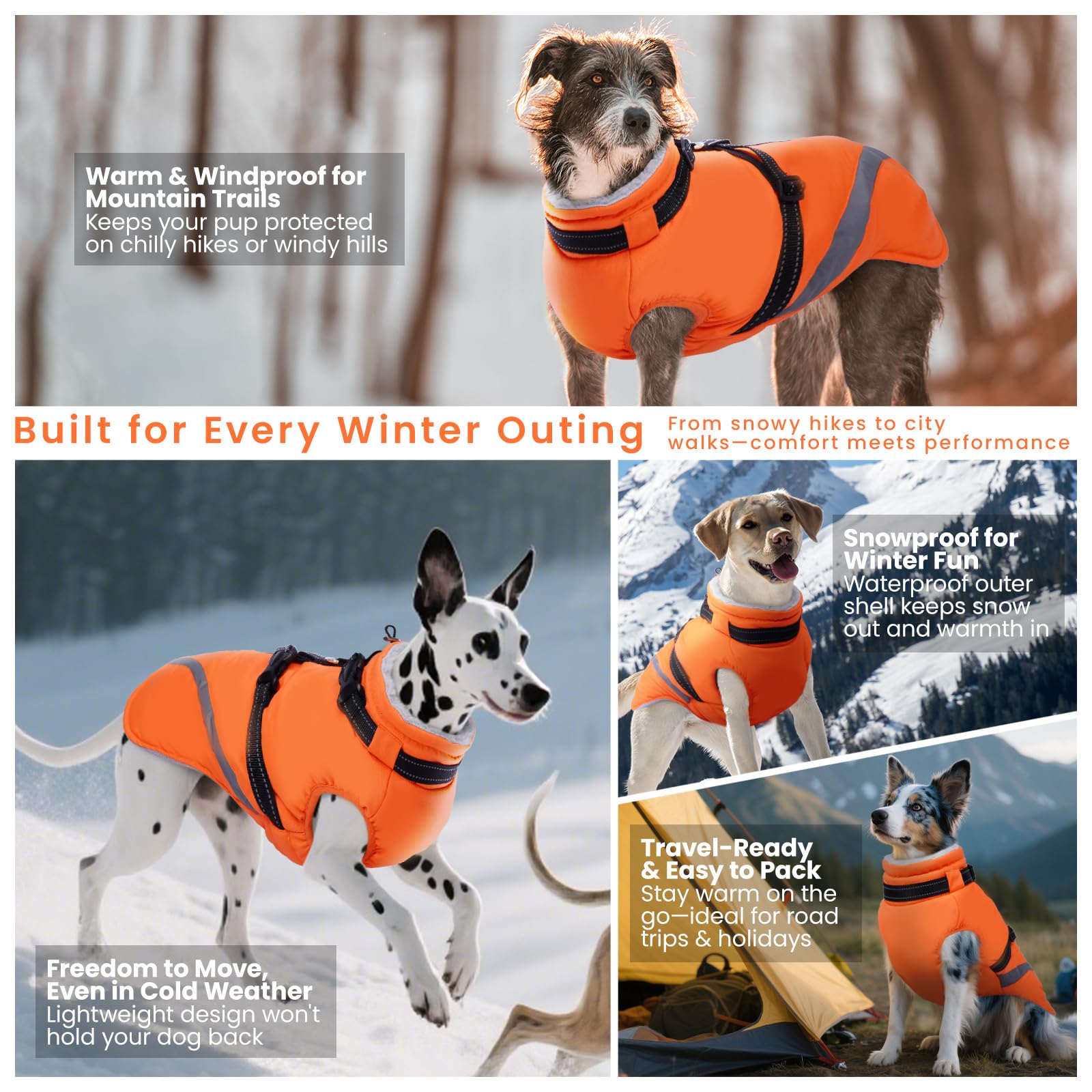 Manteau QBLEEV ajustable, s'adapte à différentes tailles de grands chiens