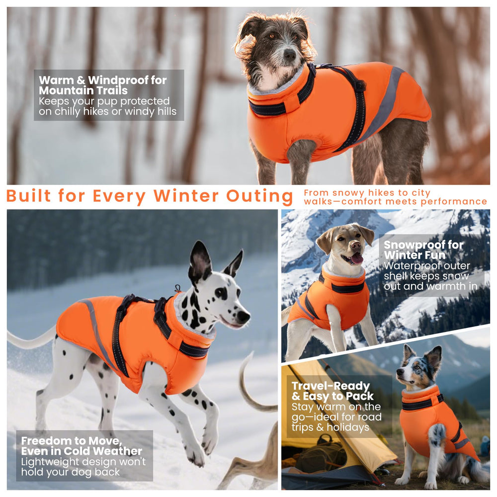 Manteau QBLEEV ajustable, s'adapte à différentes tailles de grands chiens