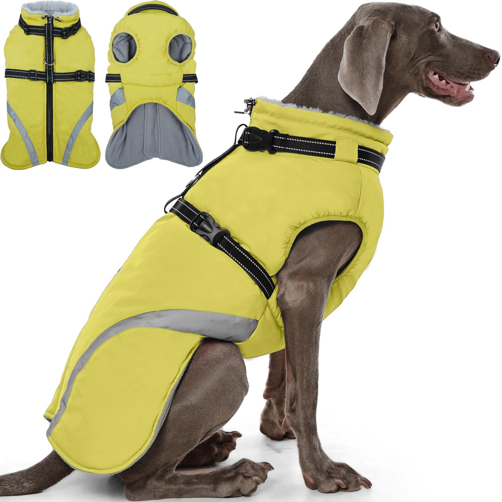 Manteau QBLEEV pour chien avec harnais intégré, pratique pour des promenades plus sûres.