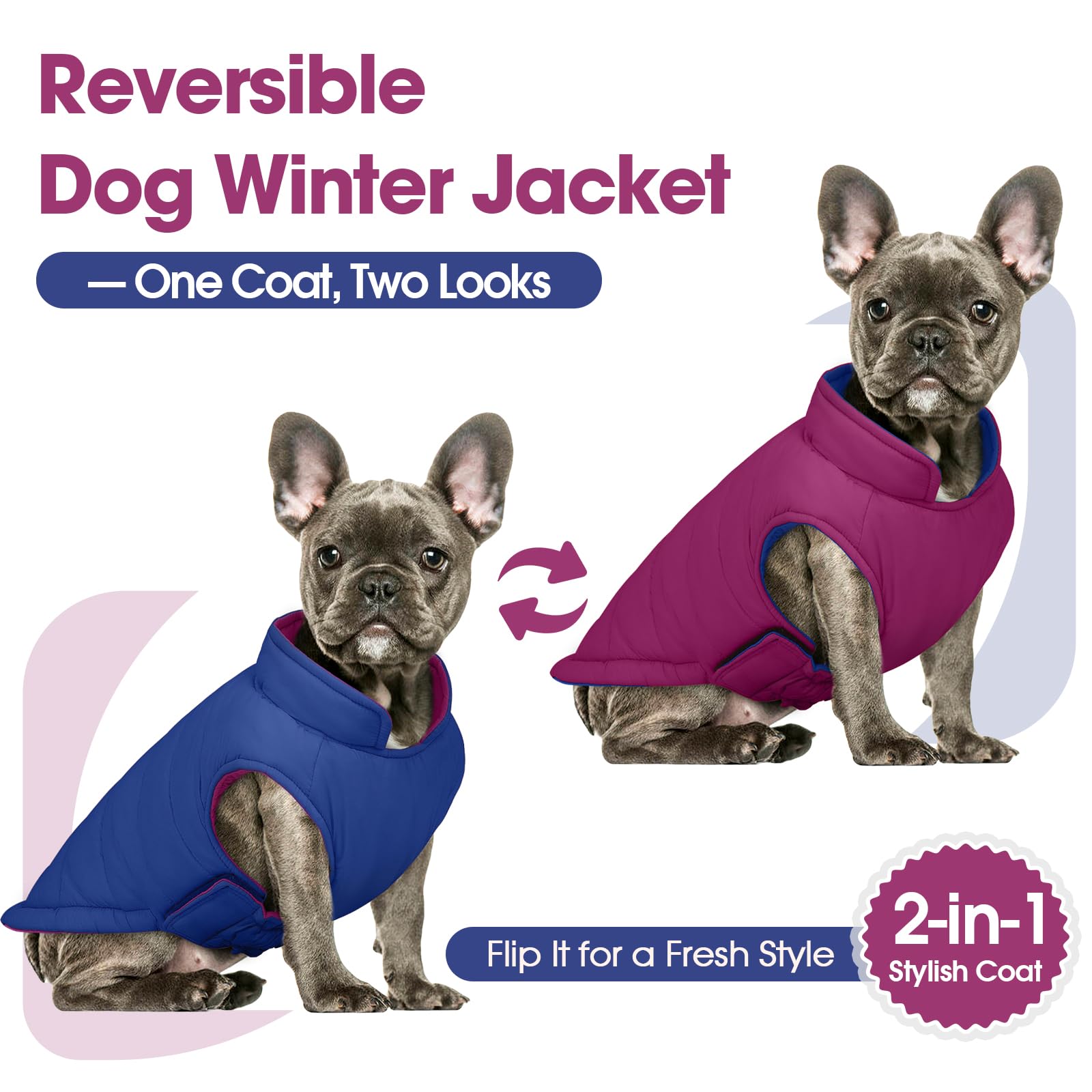 Manteau QBLEEV réversible, vue arrière, révèle le second coloris chaud pour l'hiver.