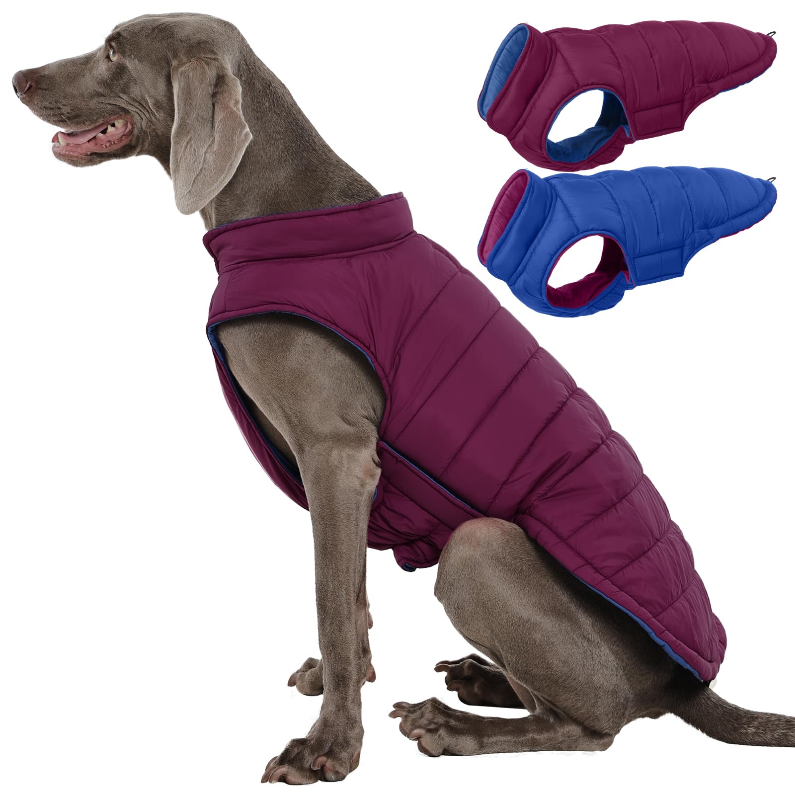 Manteau QBLEEV réversible, vue avant, idéal pour alterner les looks lors des promenades.