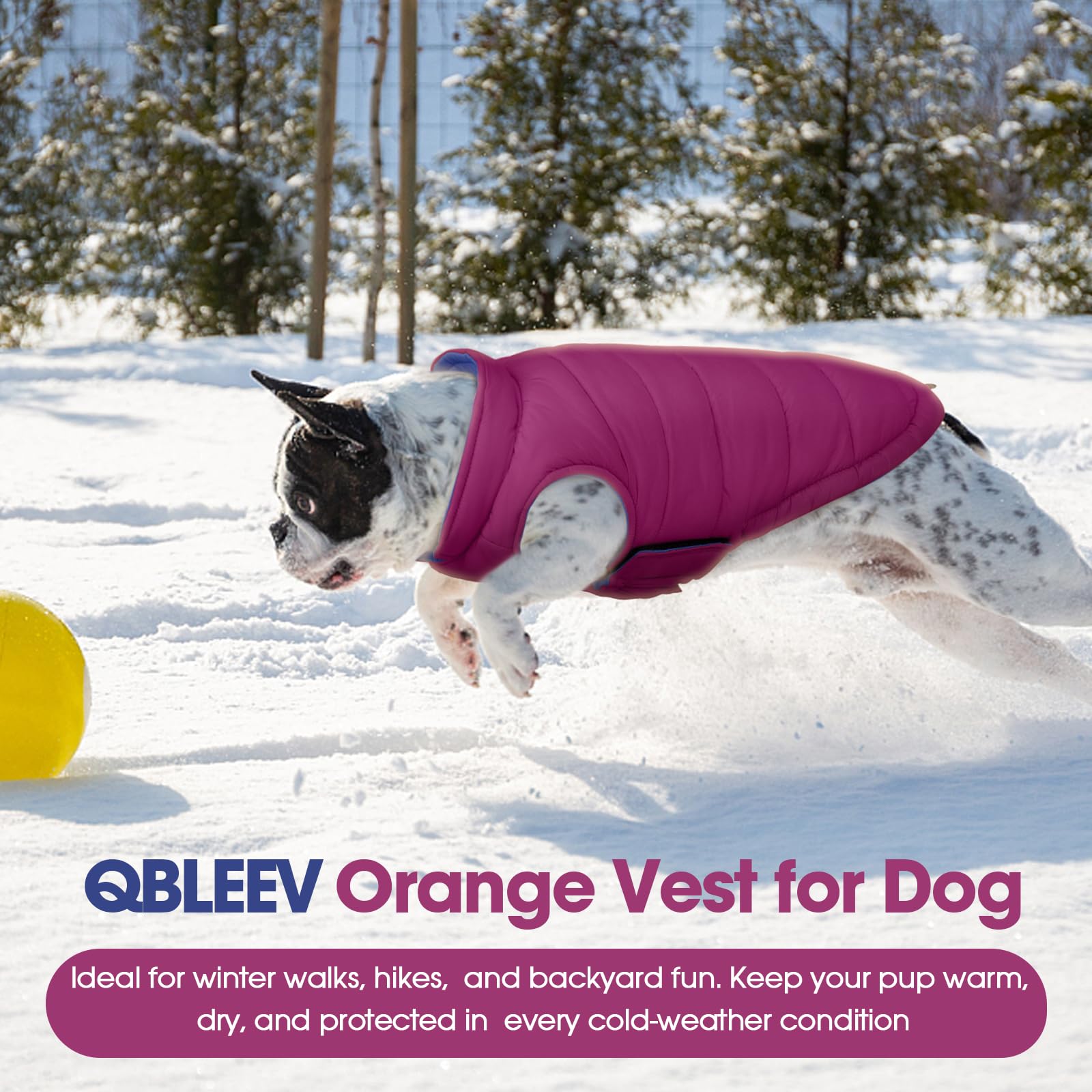Manteau QBLEEV léger et doux, confort optimal sans peser le chien.