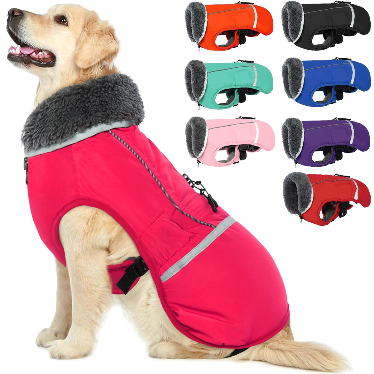 Manteau QBLEEV pour chien réfléchissant et étanche, chaleur et sécurité lors des balades nocturnes.