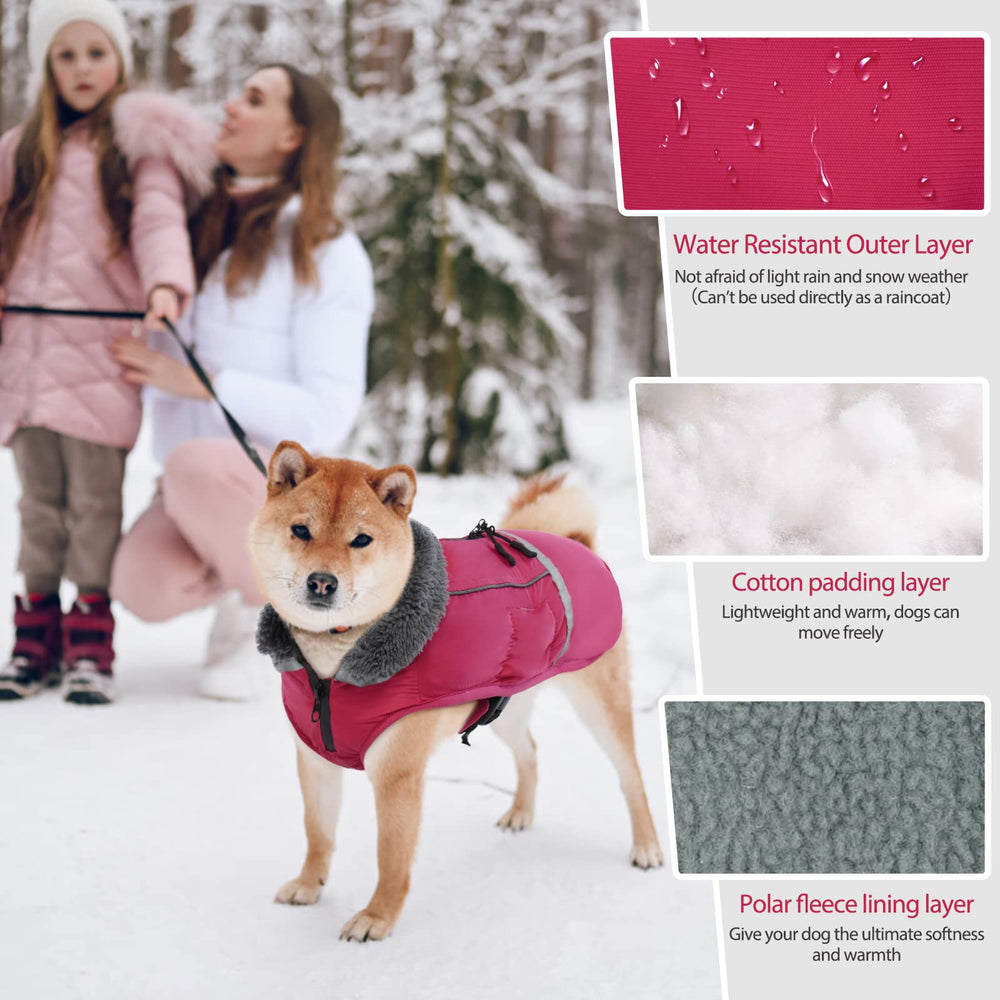 Tailles variées du manteau QBLEEV conviennent du chiot au grand chien.