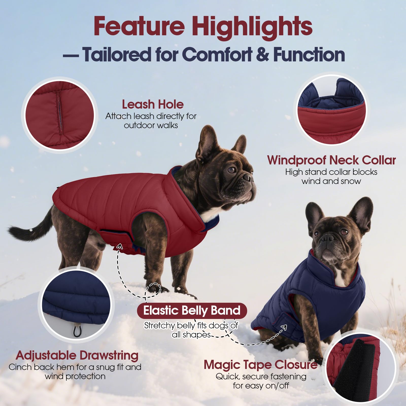Manteau QBLEEV anti-vent pour chien, chaleur légère pendant les promenades.