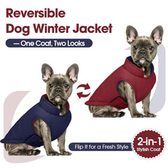 Manteau QBLEEV imperméable, protection contre pluie et neige.