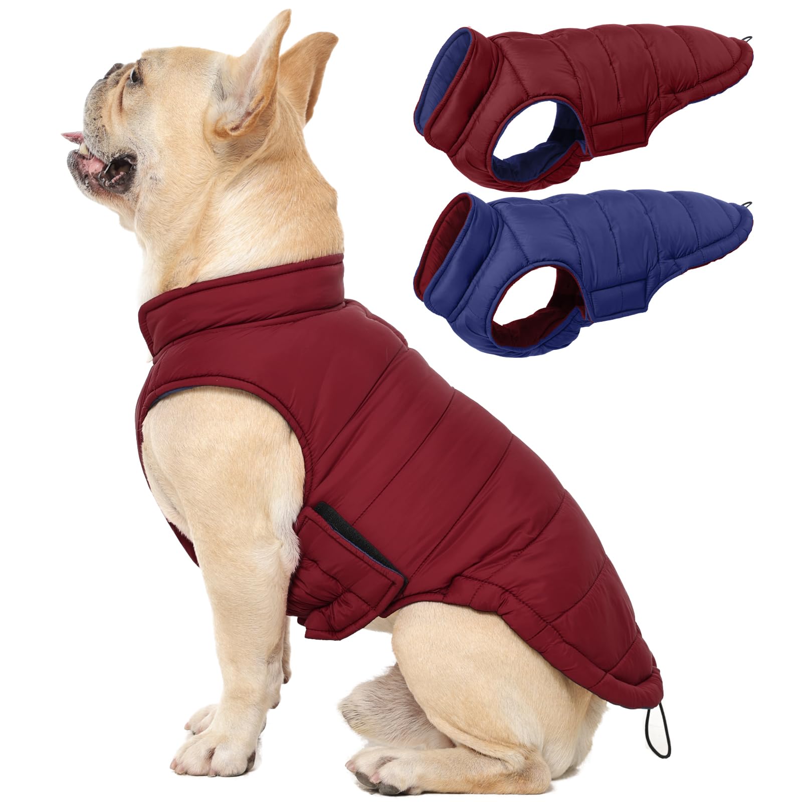 Manteau QBLEEV pour chien réversible en rouge vin, double style pour sorties quotidiennes.