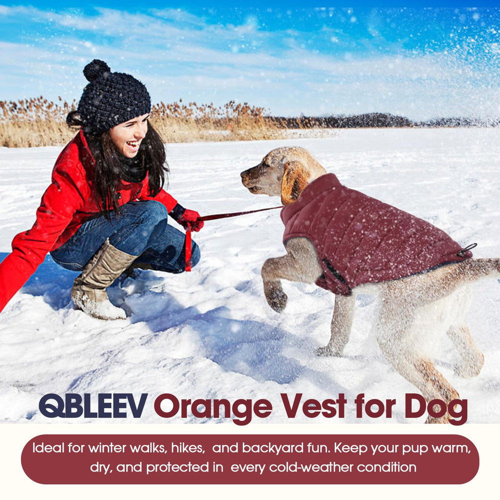 Manteau QBLEEV pour chiens XS à 3XL, tailles adaptées.
