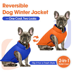Manteau QBLEEV imperméable et coupe-vent pour grand chien, protection pluie et vent