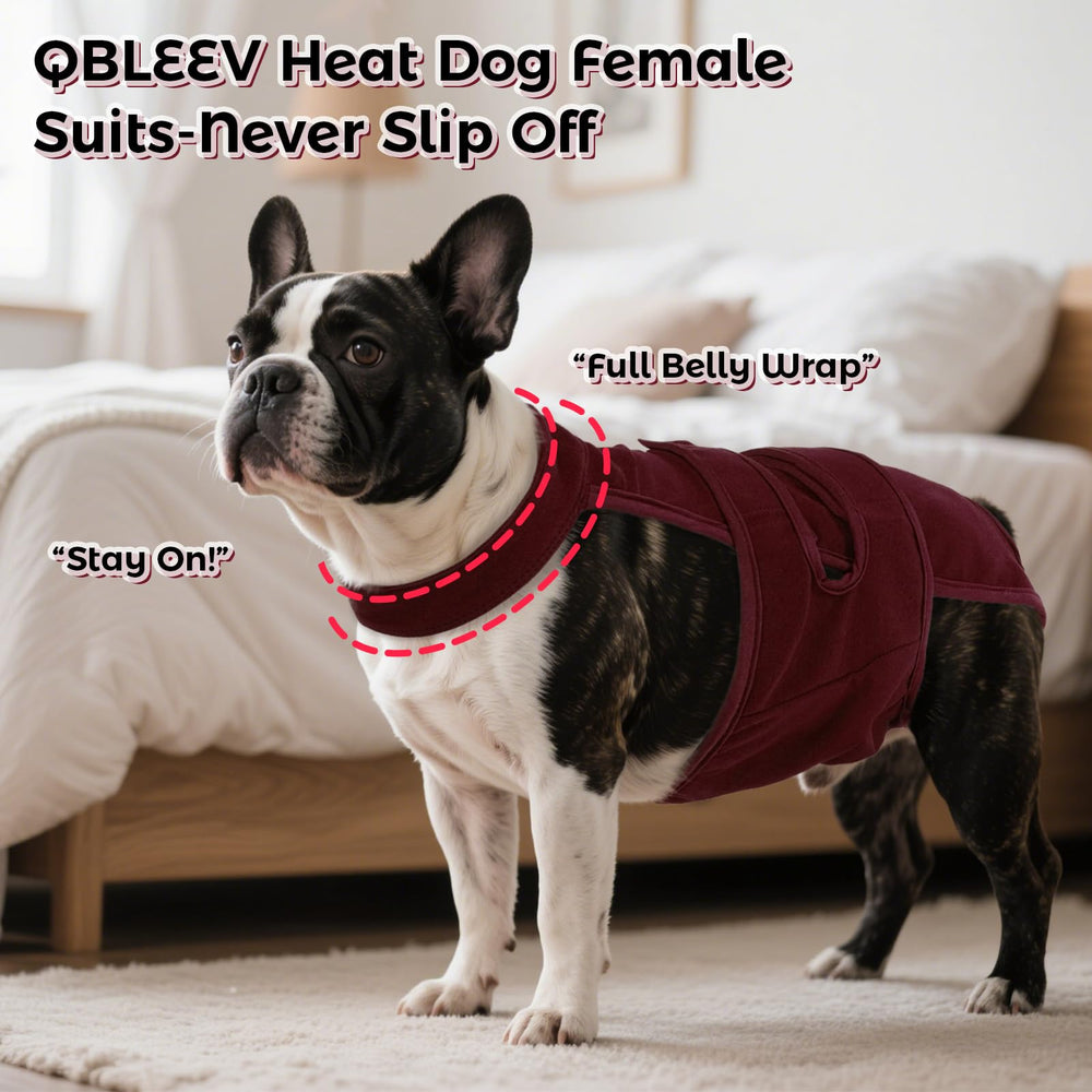 QBLEEV suspenders-ajustables facilitent l’enfilage et assurent un maintien fiable.