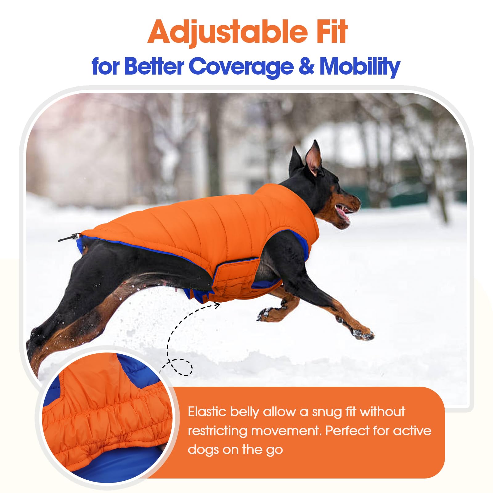 Tailles XS à 3XL disponibles chez QBLEEV pour chiens de toutes tailles