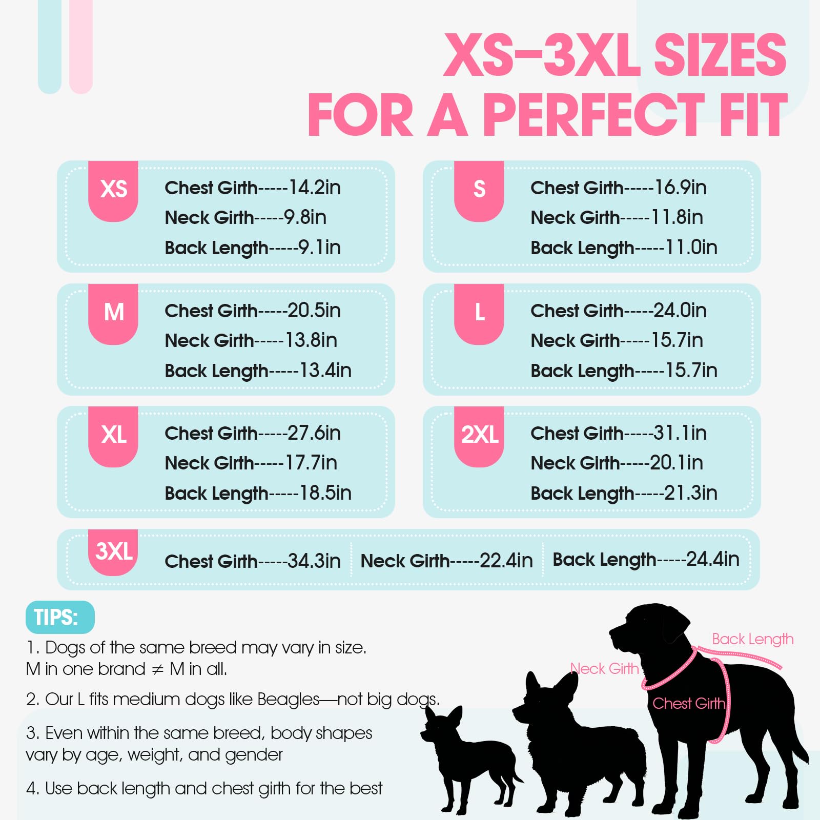 QBLEEV – Tailles XS à 3XL pour toutes les tailles de chien.