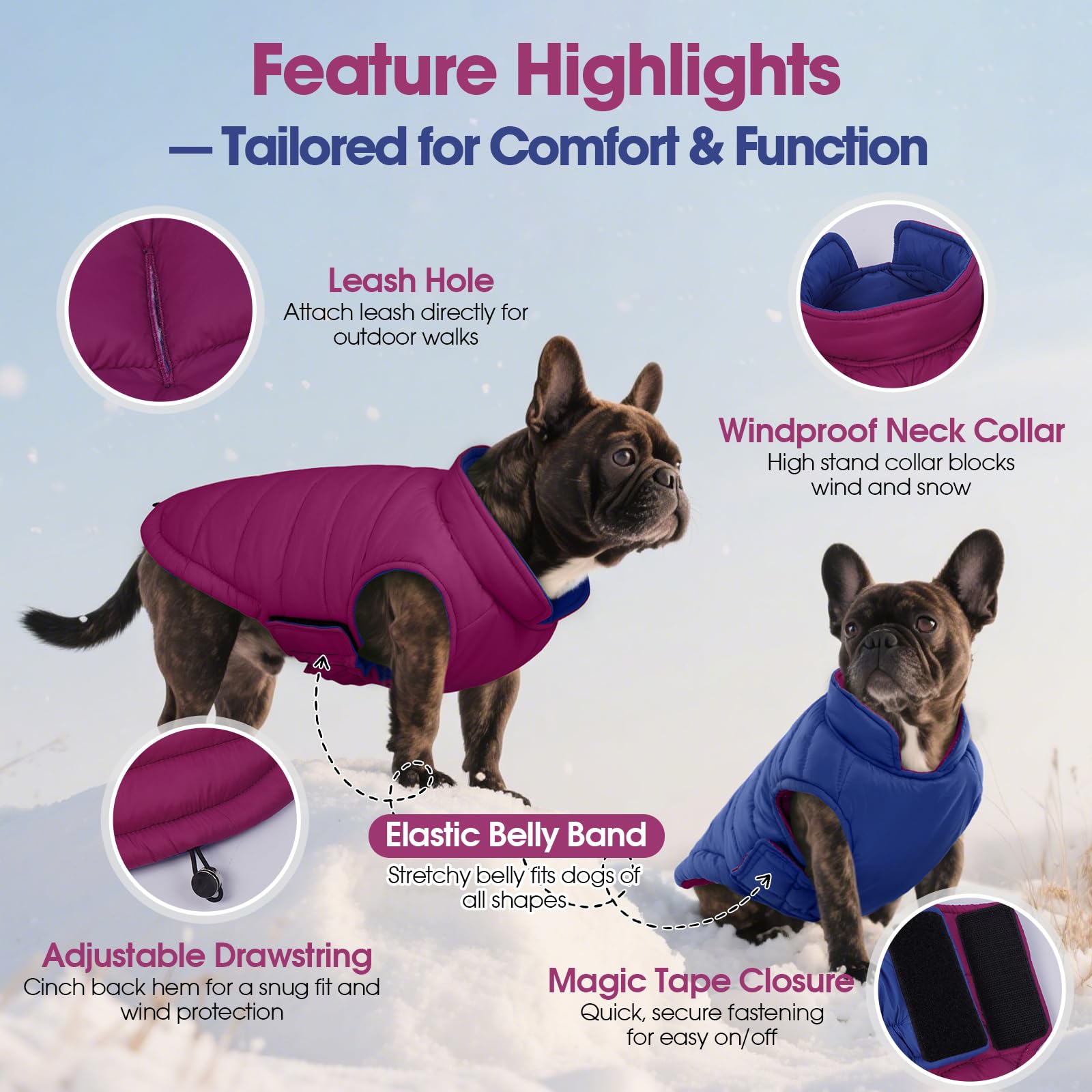 Détail imperméable de la veste QBLEEV pour chien, protection contre pluie et vent.