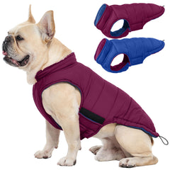 Veste réversible QBLEEV pour chien vue avant, deux styles élégants pour varier les looks.
