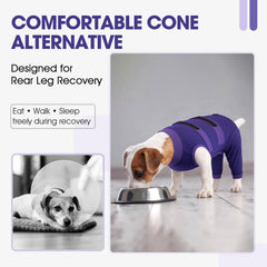 QBLEEV vetement recuperation chien maintien des plaies quand vous etes absent.