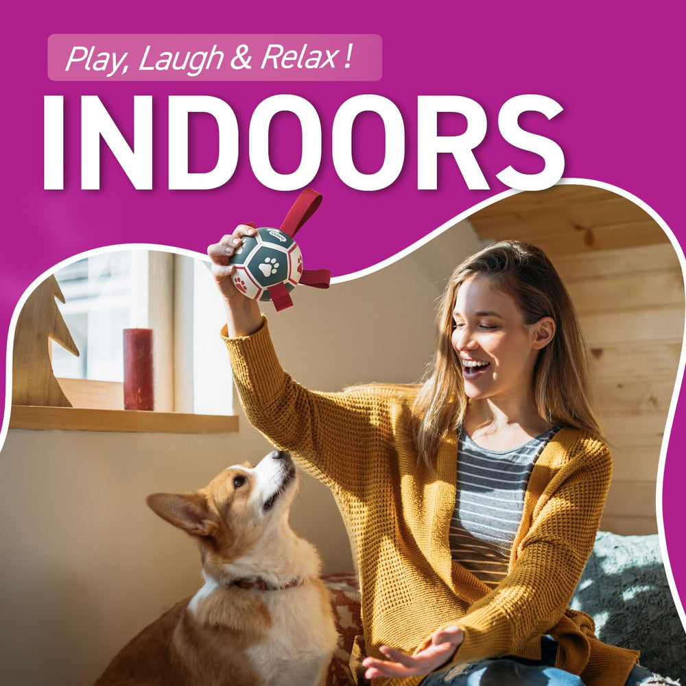 QDAN Ball durable non toxique pour chiens, sécurité et longévité