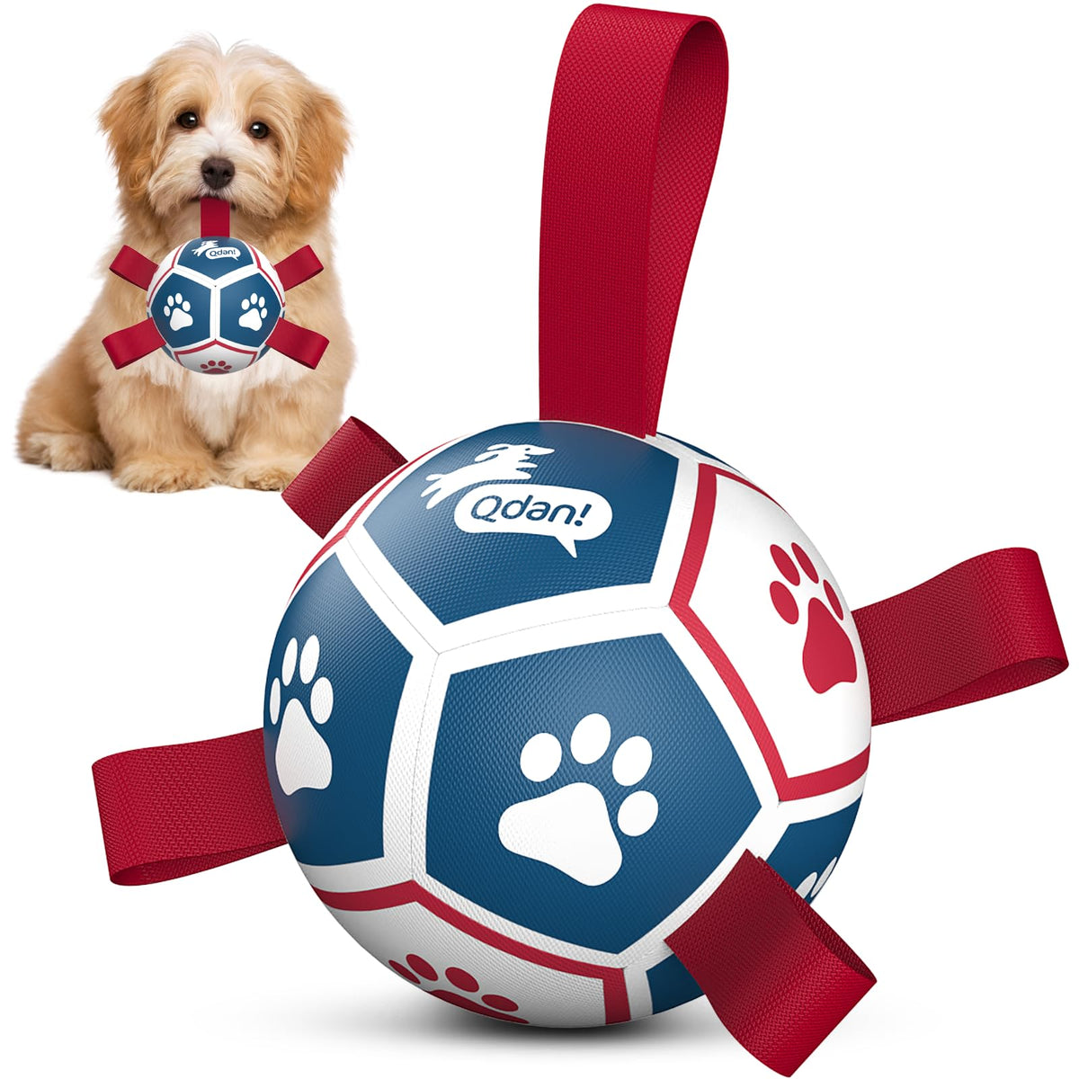 QDAN Ballon-football chien avec sangles pour une prise en main facile et jeux interactifs