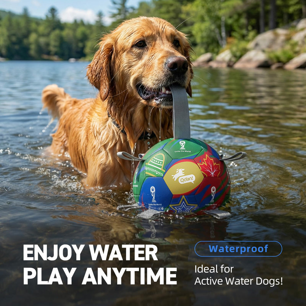 QDAN jouet balle chien activité éducative et interactive.