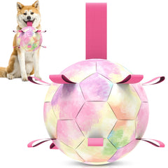 QDAN balle arc-en-ciel 8 pouces pour chien, parfaites pour jeux extérieurs et énergie