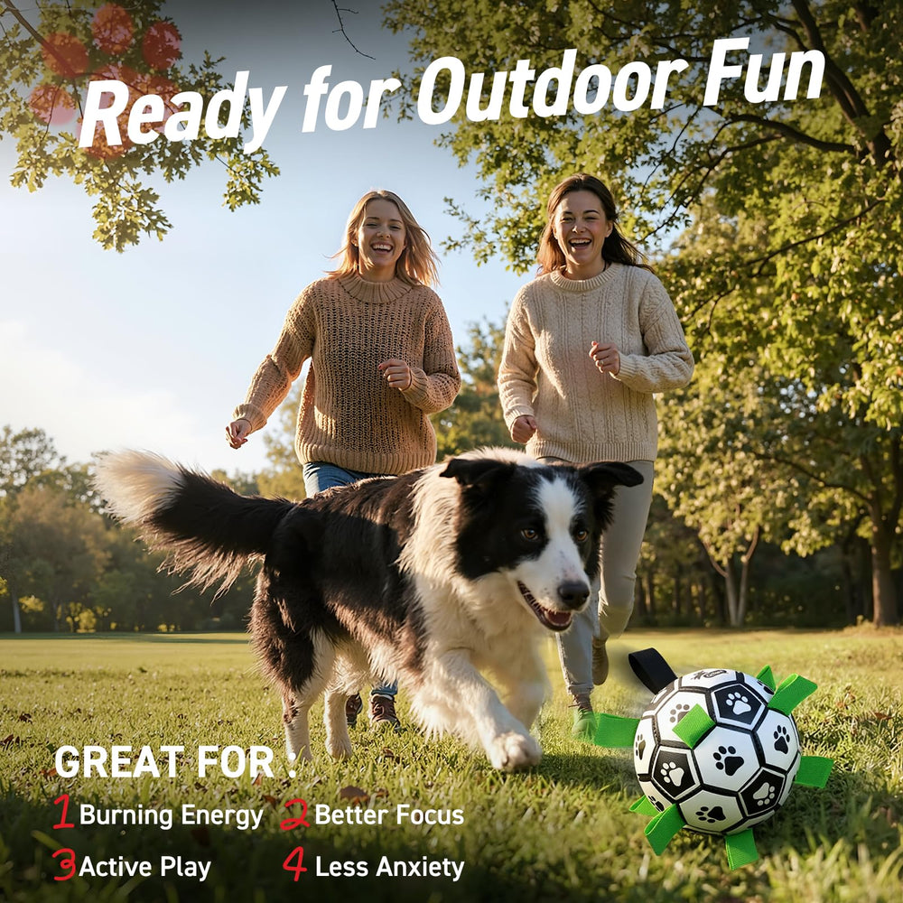 QDAN Ballon-chien avec anses, pratique pour ramener et jeux variés.