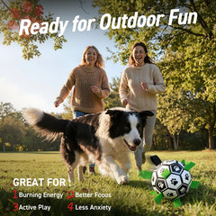 QDAN Ballon-chien avec anses, pratique pour ramener et jeux variés.