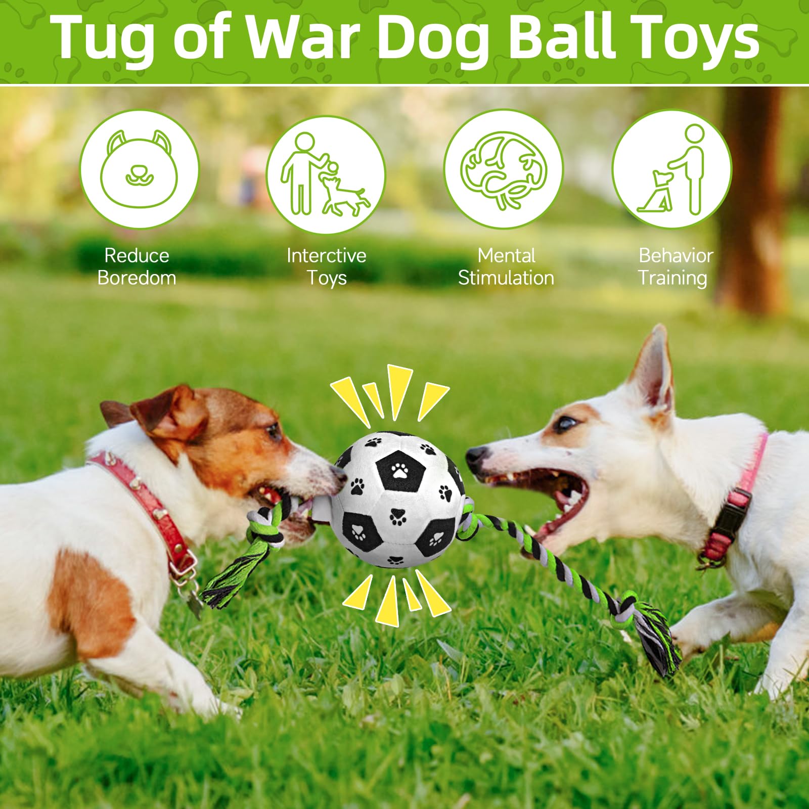 QDAN cadeau parfait pour chien, jouet interactif pour anniversaires et fêtes.