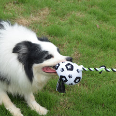 QDAN jouet en corde pour chien, utile pour l'entraînement et l'exercice physique.