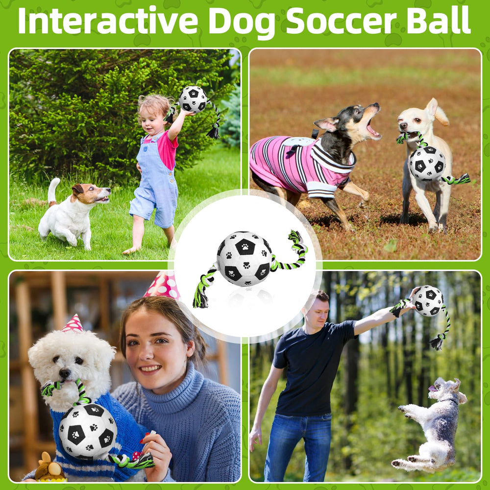 QDAN jouet chien intérieur et extérieur, parfait pour des sessions ludiques.