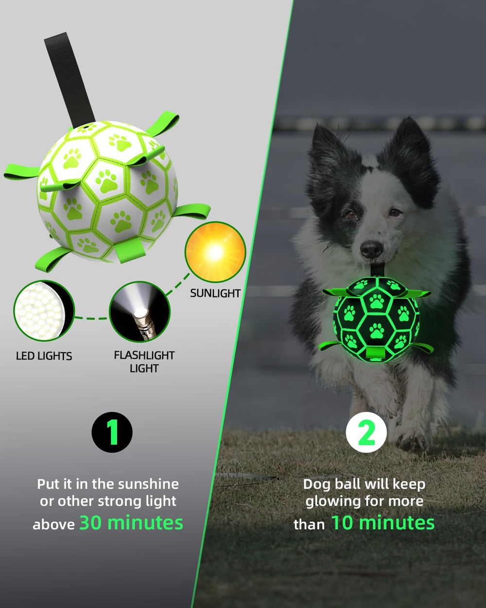 QDAN balle lumineuse 6 pouces pour chien, retrouvage facile au clair de lune.