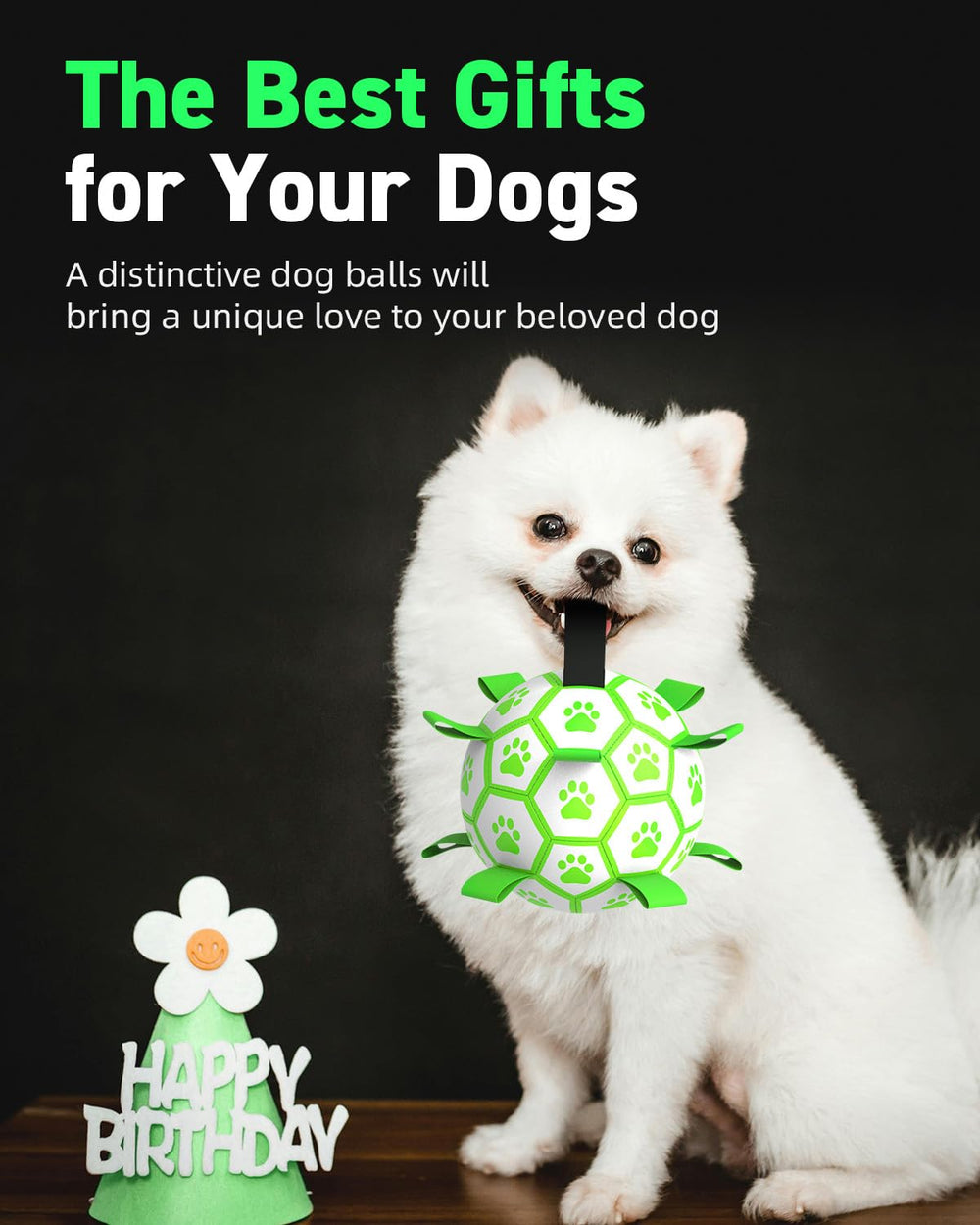 QDAN balle lumineuse anniversaire chien, cadeau interactif pour booster l’énergie.