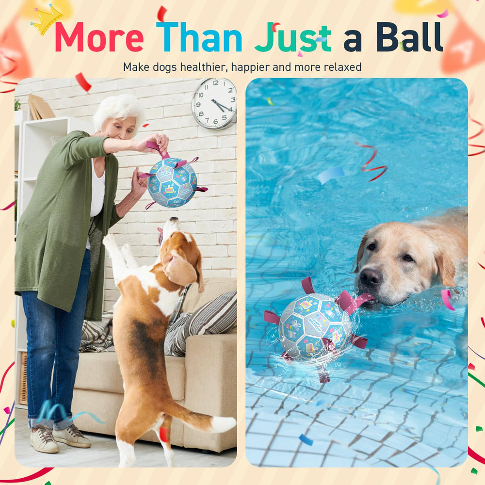 QDAN balle-agilité chien, favorise exercice et apprentissage