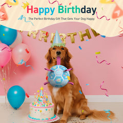 QDAN balle-anniversaire chien, cadeau coloré et festif pour célébrer