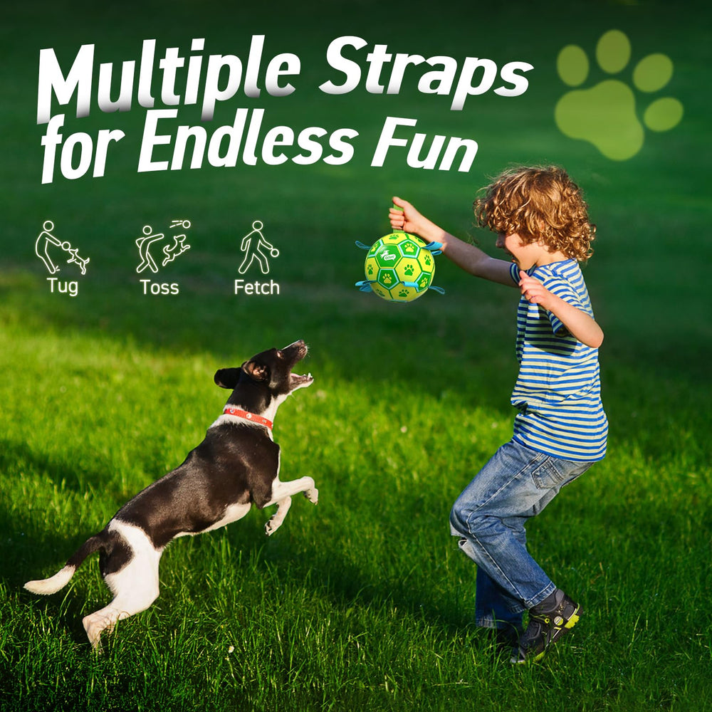 QDAN Balle-anti-anxiete-chien: peut apaiser le stress