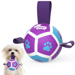 QDAN balle-foot-petits-chien 3,5 pouces violet bleu, idéale pour dépenser l'énergie.
