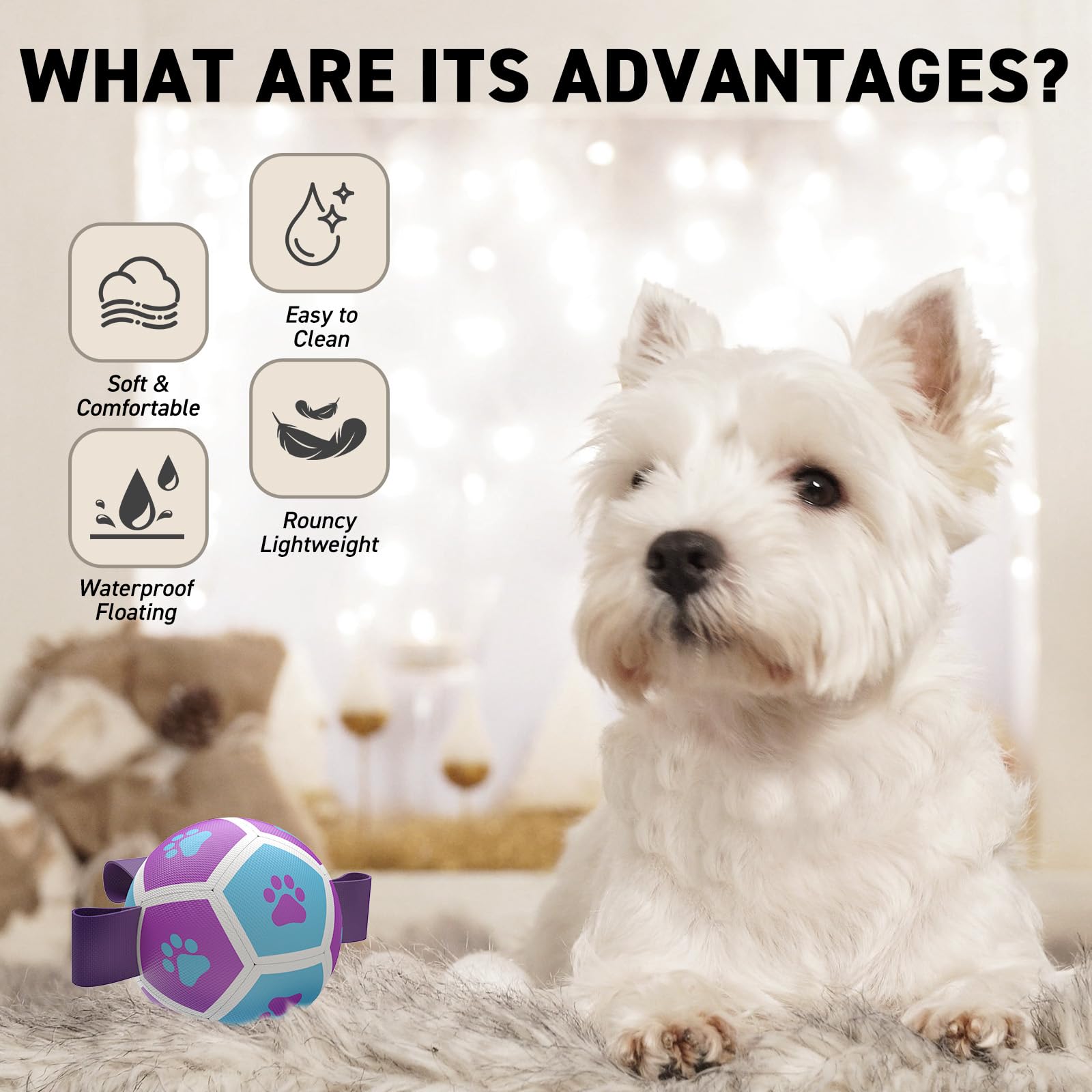 QDAN balle-foot-petits-chien jeu extérieur, plaisir durable.