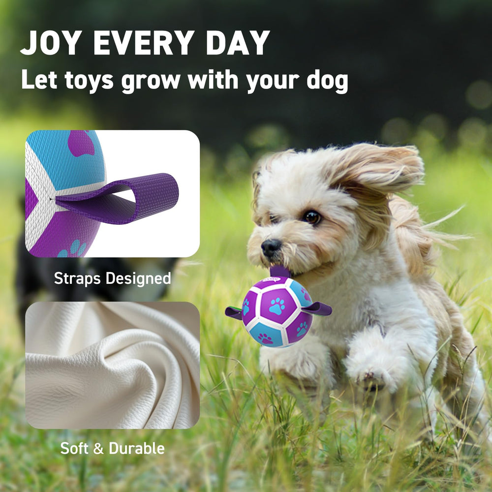 QDAN balle-foot-petits-chien utilisé en intérieur, interaction et lien renforcé.