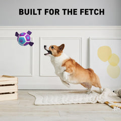 QDAN balle-foot-petits-chien, sangles courtes pour saisir et transporter.