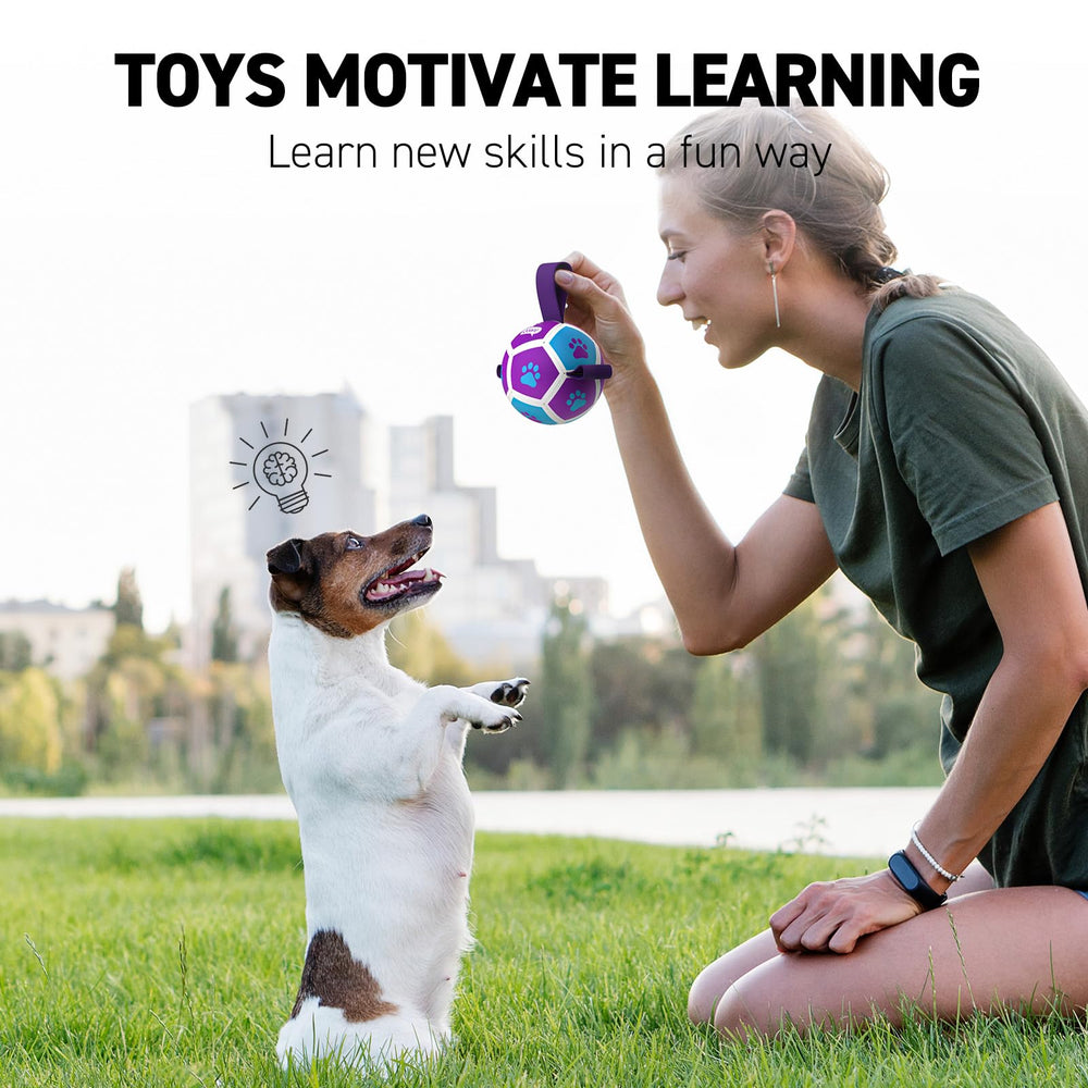 QDAN balle-foot-petits-chien support client expert pour tout souci.