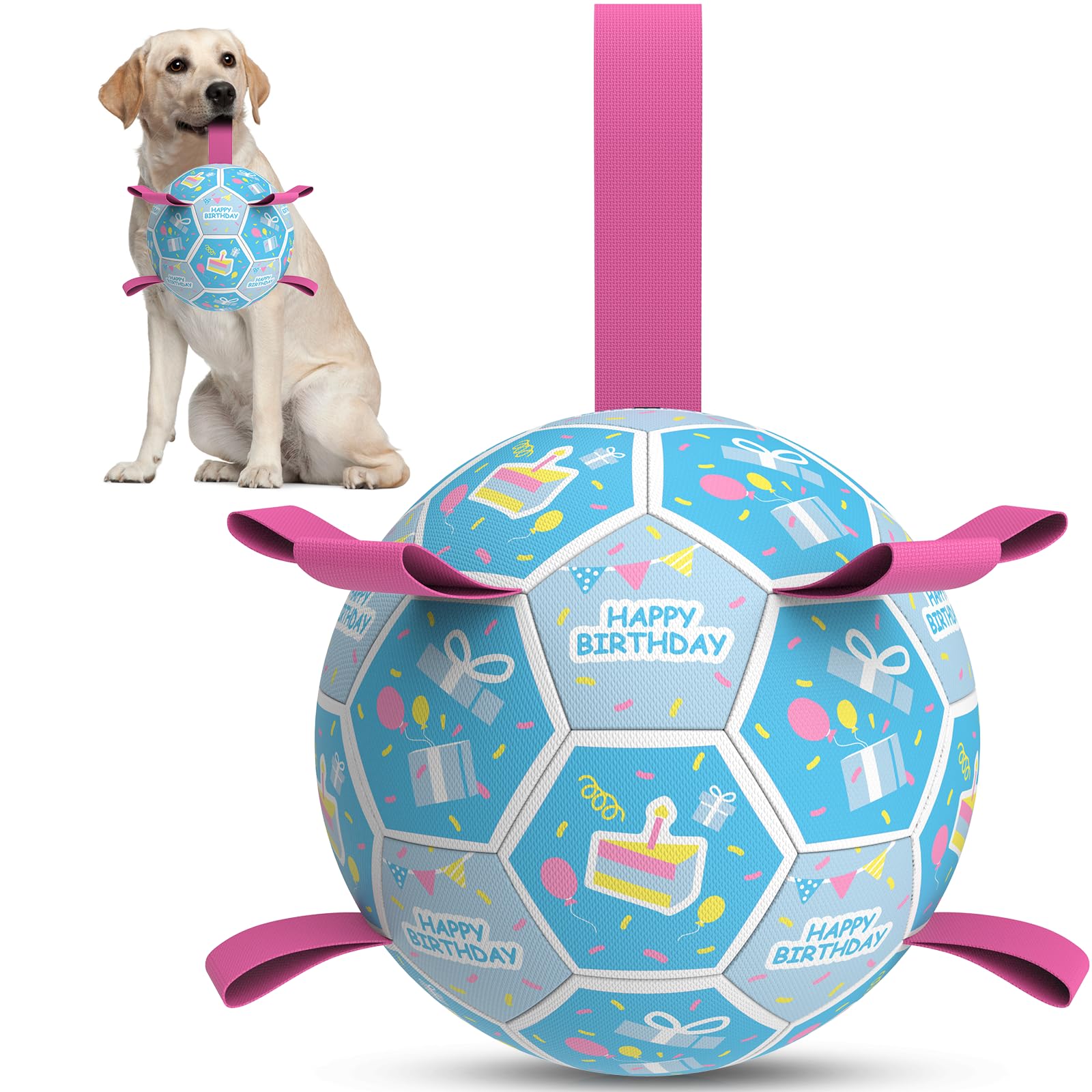 QDAN balle-football avec sangles, pratique pour jeux et transport sûr du chien