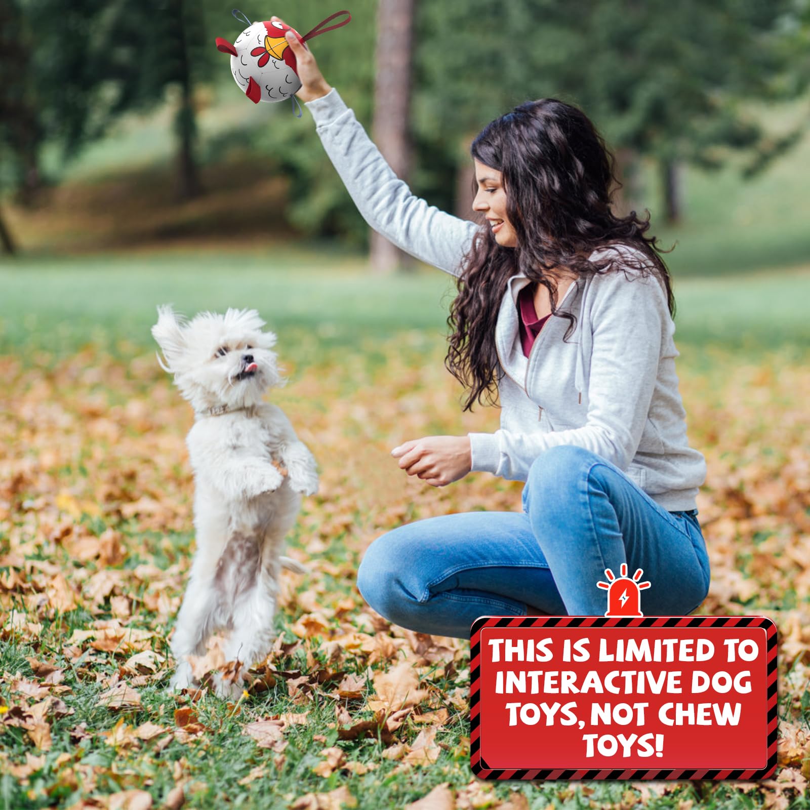 QDAN balle-football cadeau idéal pour chien, accessible et divertissante.