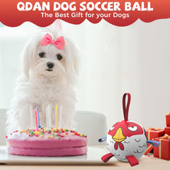QDAN balle-football chien en action, parfaite pour entraînement et plaisir.