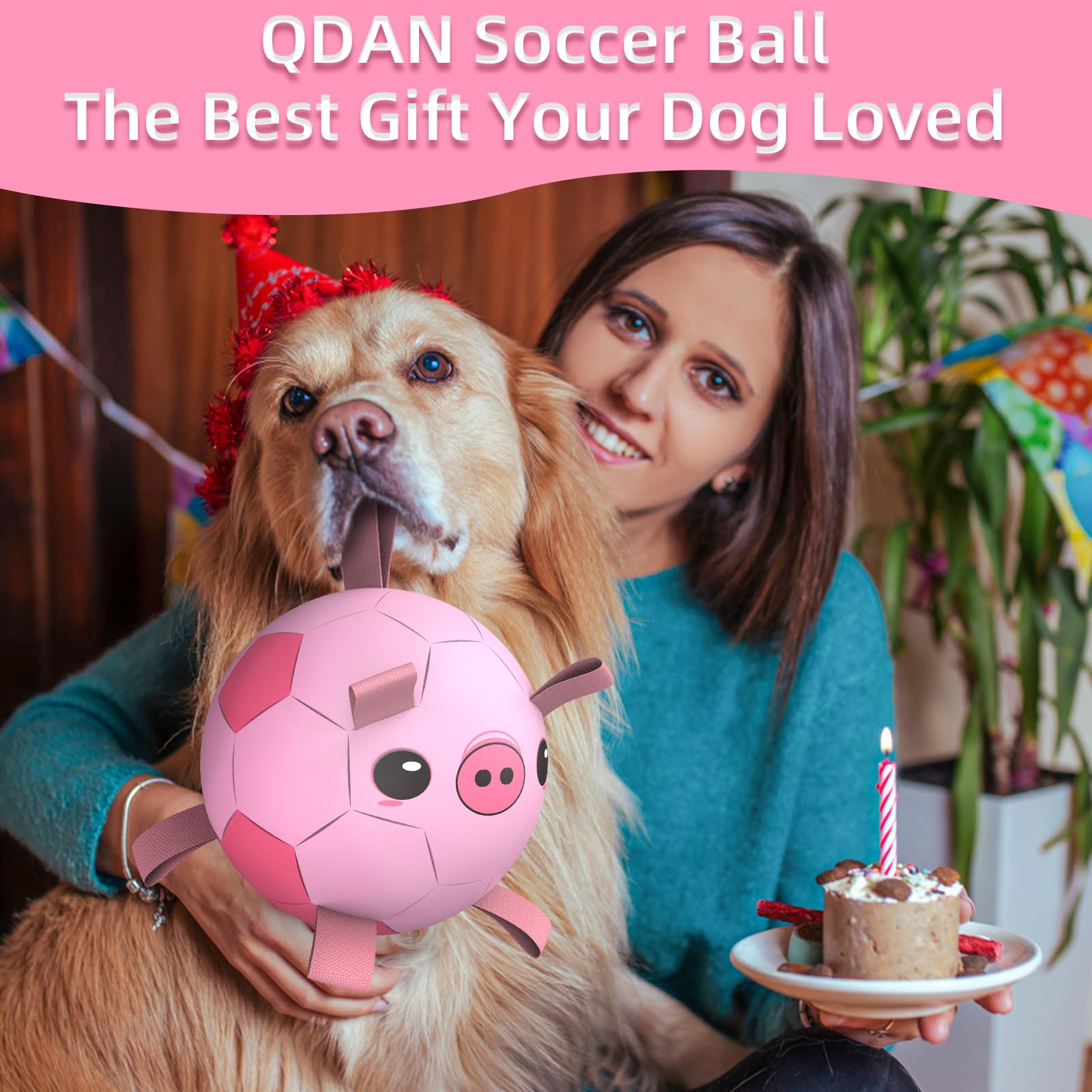 QDAN balle-football-chien-en-action: chien qui poursuit et rapporte la balle interactive.