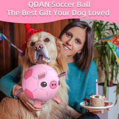 QDAN balle-football-chien-en-action: chien qui poursuit et rapporte la balle interactive.