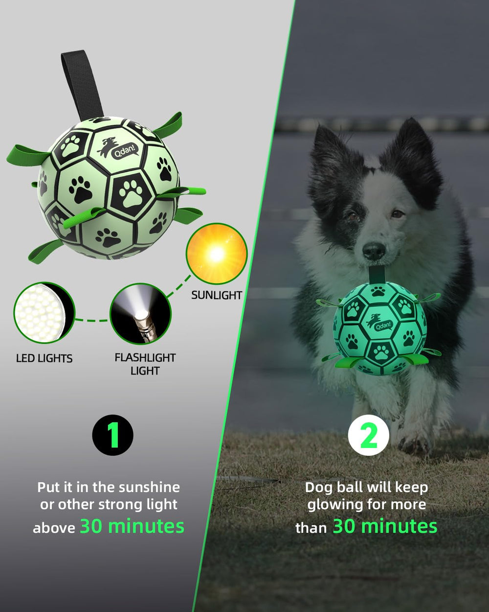Ballon football lumineux QDAN attirant l’attention du chien pour des sessions dynamiques.